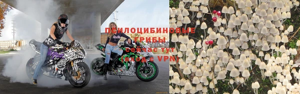 а пвп мука Арсеньев