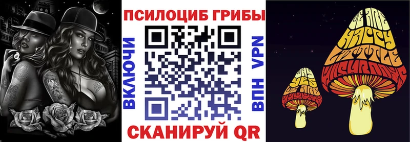 Псилоцибиновые грибы MAGIC MUSHROOMS  магазин  наркотиков  мега как войти  Арск 
